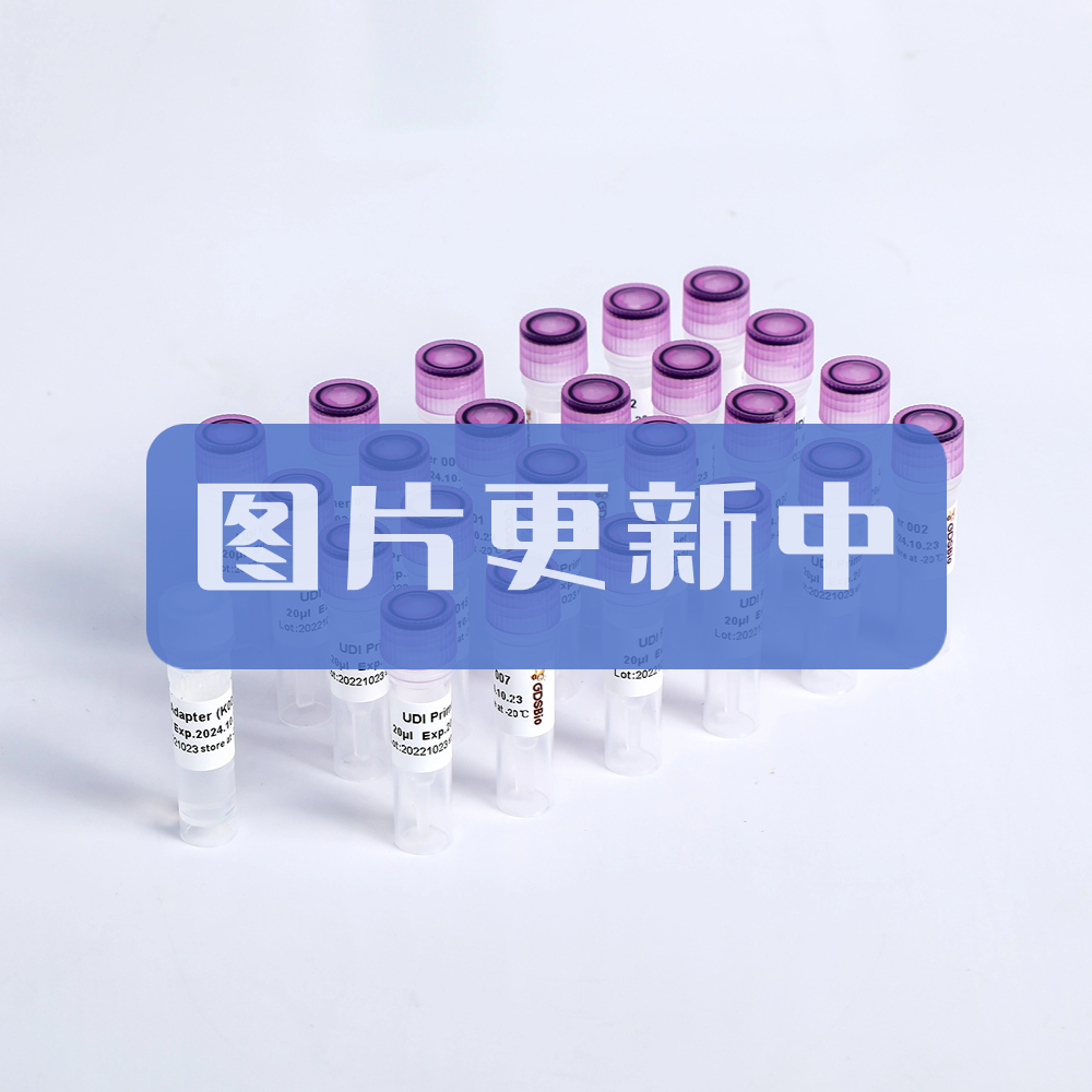 T4 DNA Polymerase K011-A K011-B K011-C K011-D