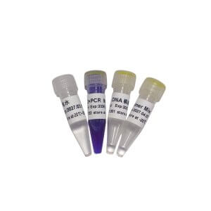 PCR开源教学试剂盒 P8031 P8032