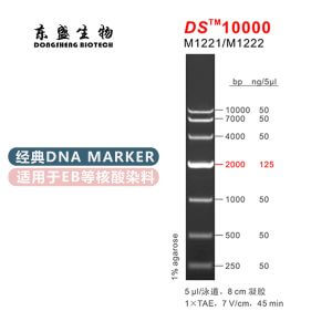 DS10000 DNA Marker M1221/M1222