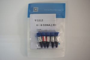 6×单色DNA上样缓冲液（M9051）