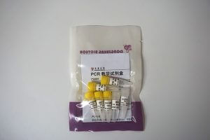 PCR教学试剂盒 （P8021-P8022）