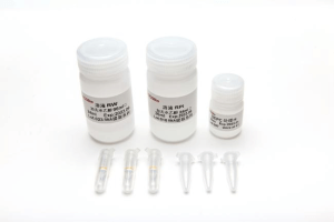 植物DNA提取试剂盒（离心柱型）N1221 N1222