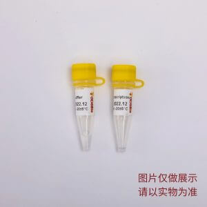 Power逆转录酶 R3011 R3012