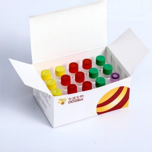 GDS ds-cDNA Synthesis Module (gDNA wiper+) K036-A K036-B K036-C